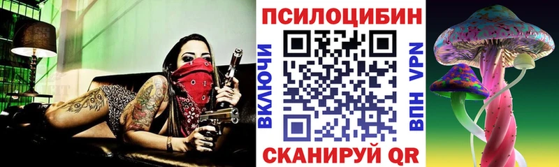 Купить закладки  Фурманов  Псилоцибиновые грибы прущие грибы 